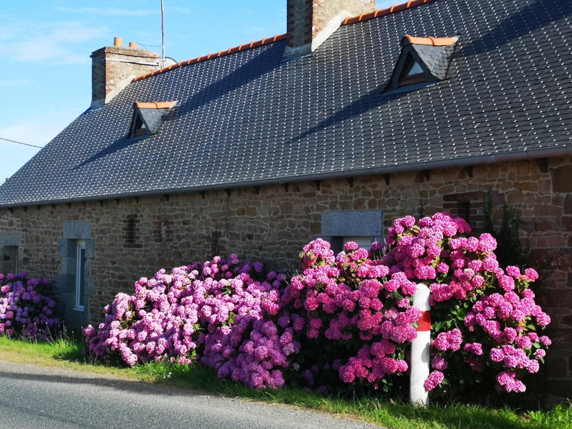 Gite Breton Sur La Cote De Granit Rose Villa Pleudaniel Esterno foto